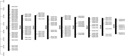 Genome-wide identification of bHLH transcription factors: Discovery of a candidate regulator related to flavonoid biosynthesis in Erigeron breviscapus